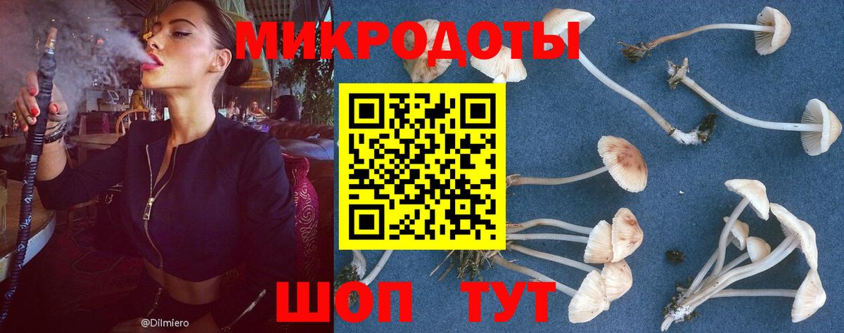Туймазы  Галлюциногенные грибы Psilocybe  Вход с VPN  Галлюциногенные грибы GOLDEN TEACHER 